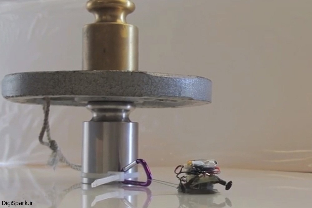 میکرو رباتی که 2000 برابر وزن خود بار حمل می کند - دیجی اسپارک