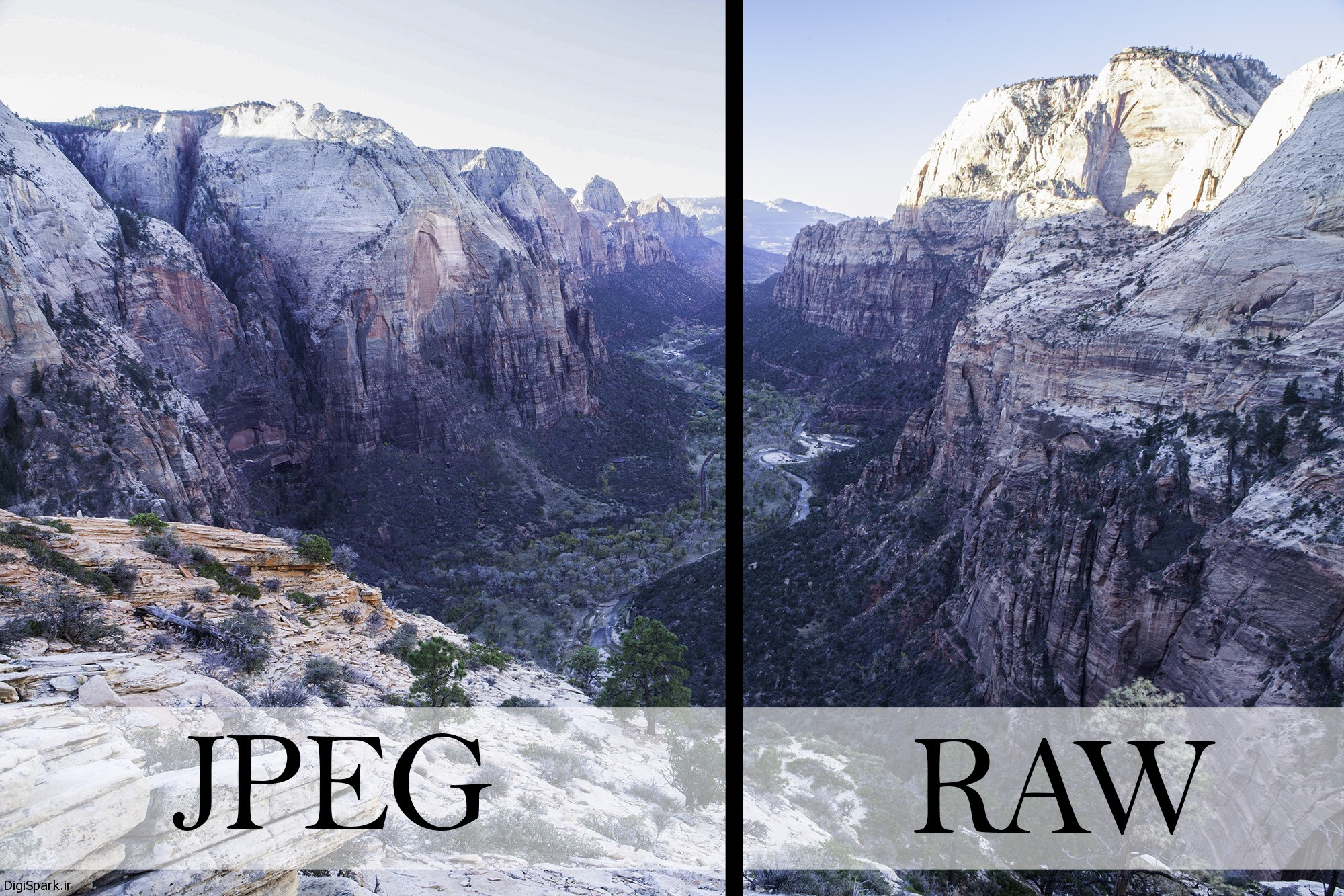 difference-between-jpeg-and-png-do-you-know-it