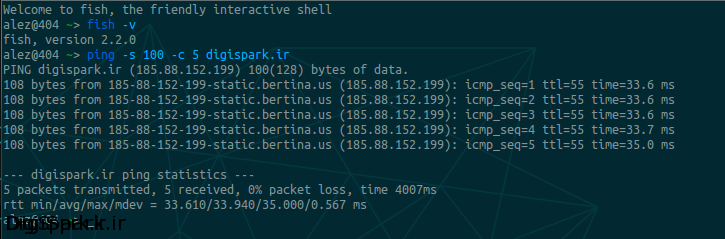 ping-packet-size